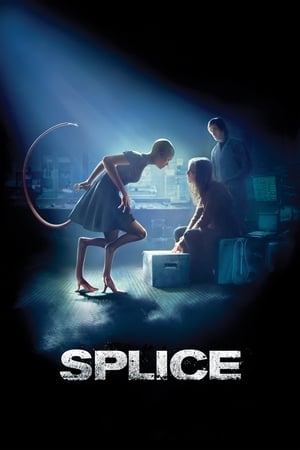 Splice 2009 Hindi Dual Audio [1.3GB]